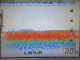 2023-01-28()
