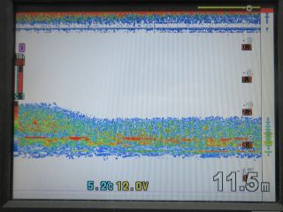 2023-03-13()