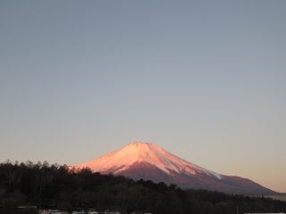 2025-01-29(水)