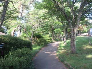 2025-07-26(土)