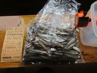 2025-10-03(金)