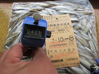 2025-10-08(水)