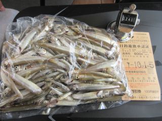2025-10-15(水)