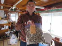 2025.10.27 (月) わかさぎの釣果