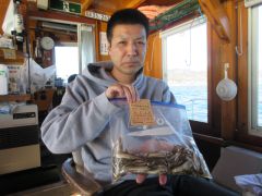 2026.01.17 (土) わかさぎの釣果