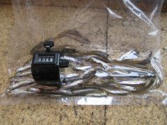 2026.01.20 (火) わかさぎの釣果